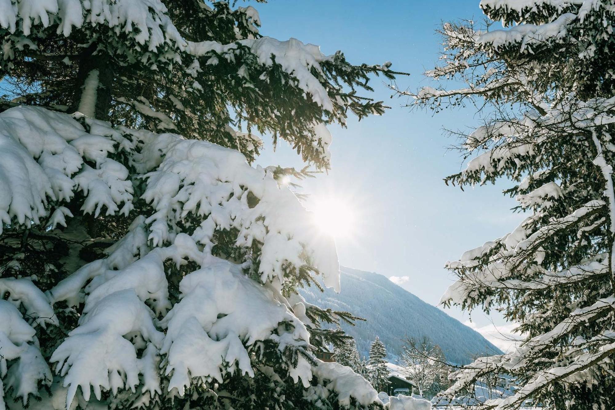 Hotel Burgstall Neustift im Stubaital Exteriér fotografie